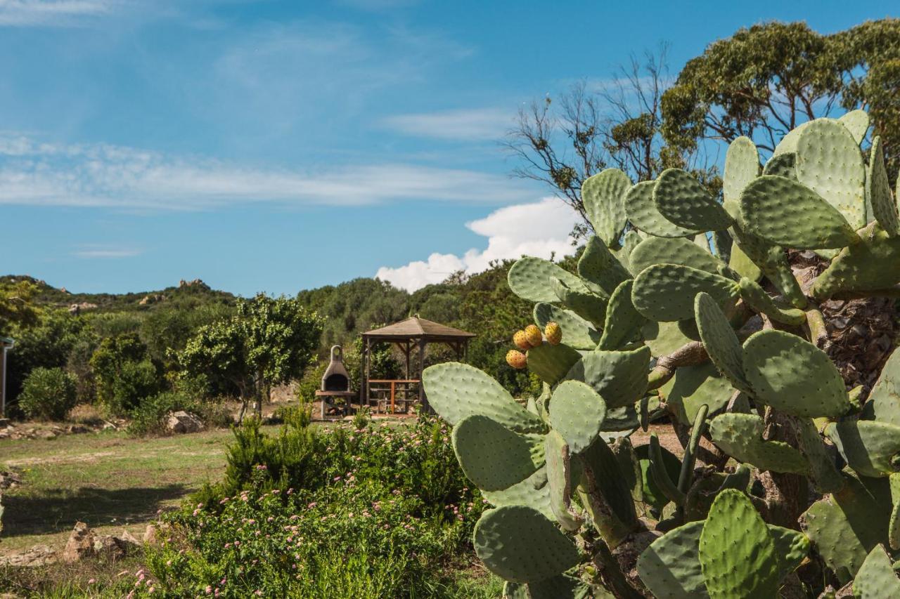 Sapa Di Cala