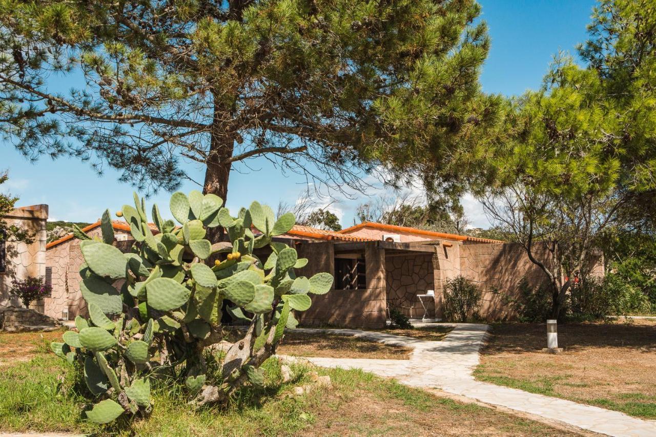 Sapa Di Cala Landhuis *