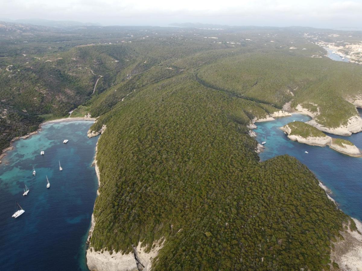 Sapa Di Cala Bonifacio (Corsica)